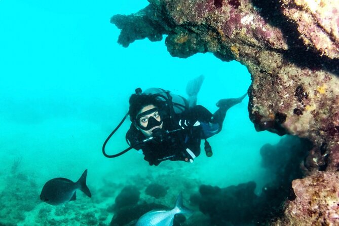 Scuba Tour for Certified Divers in San Juan - Marine Life Exploration