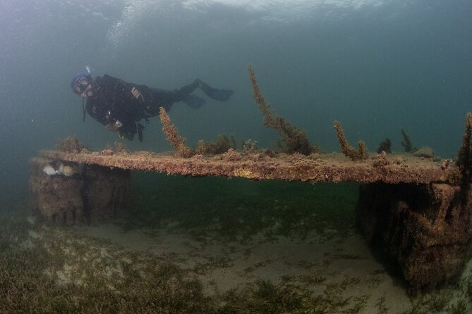 Scuba Tour for Certified Divers in San Juan - Meeting Point and Logistics