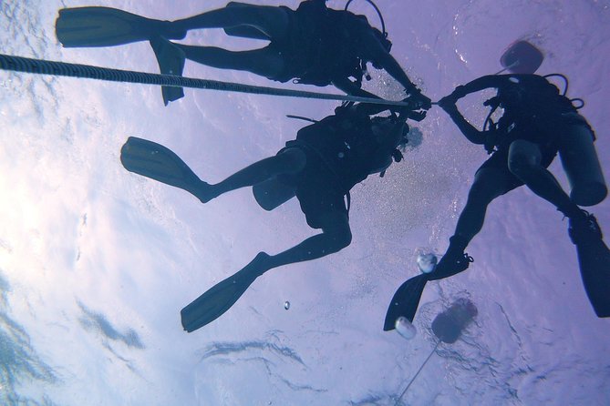 Scuba Try Dive - PADI Discover Scuba Diving DSD in Kota Kinabalu, Malaysia - Reviews and Feedback
