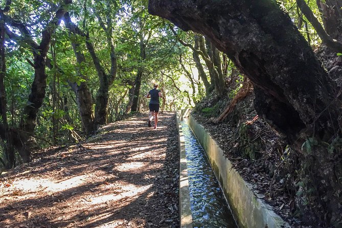 Sea 2 Mountain Running Tour (Moderate-Hard) - Guided by Knowledgeable Professionals