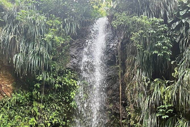 Sea and Land Tour in St. Lucia - Tour Schedule and Duration