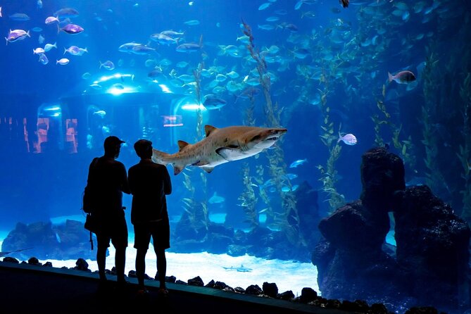 Sea and Mountain Full Day Tour With Lunch - Cancellation Policy