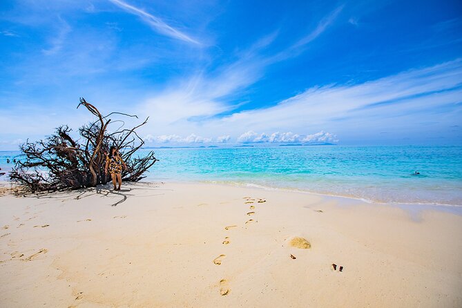 Sea Breeze Calm You On Phi Phi Islands Tour From Krabi - Tour Schedule and Highlights
