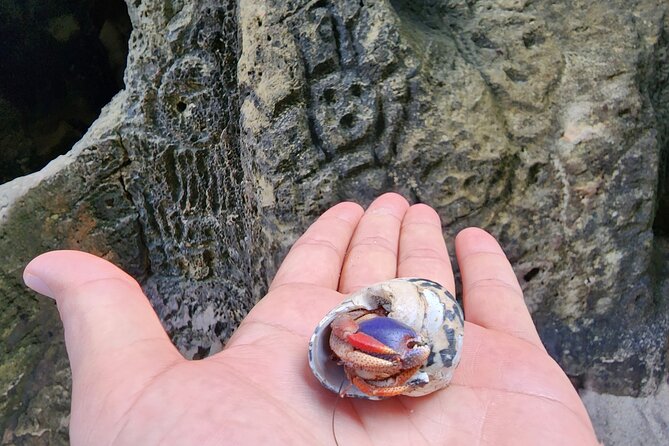 Sea Cave Adventure From San Juan - Physical Requirements