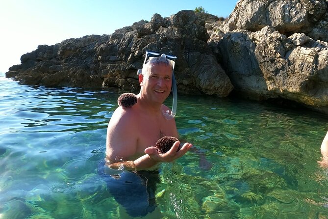 Sea Cave and Cliffs Adventure Kayaking in Pula - Discover Marine Life