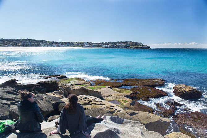 Sea Cliff Bridge, Blowhole, Beaches & Farmlands- Escape the City - Highlights of the Experience
