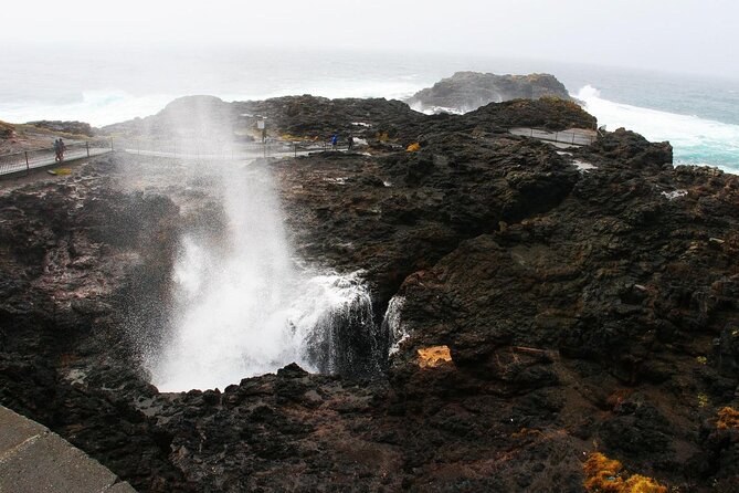 Sea Cliff Bridge, Blowhole, Beaches & Farmlands- Escape the City - Detailed Inclusions