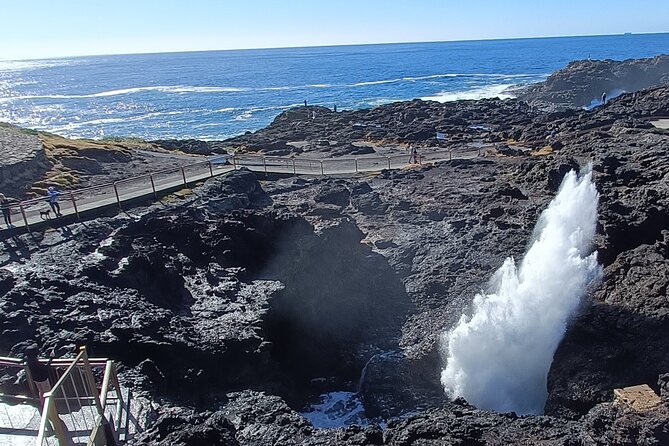 Sea Cliff Bridge, Blowhole, Beaches & Farmlands- Escape the City - Positive Traveler Feedback