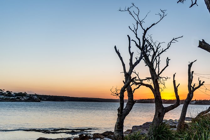 Sea Cliff Bridge, Blowhole, Beaches & Farmlands- Escape the City - Exploring the Scenic Coastline