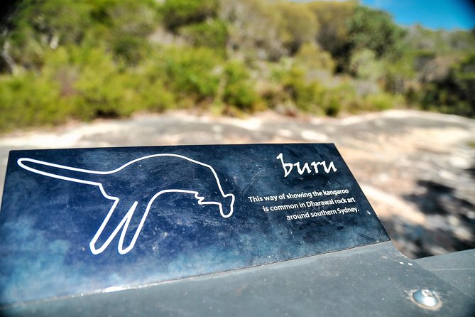 Sea Cliff Bridge, Blowhole, Beaches & Farmlands- Escape the City - Discovering Indigenous Wonders