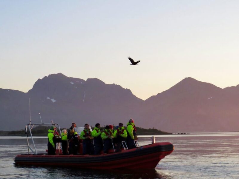 Sea Eagle/Nature Safari - Tour Details