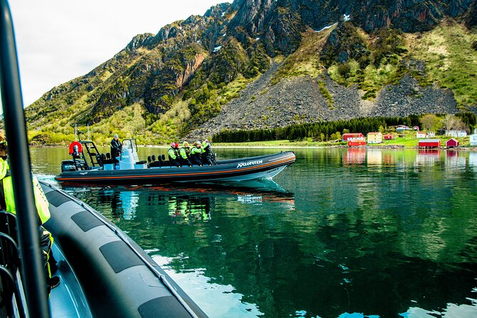 Sea Eagle Safari From Svolvaer to Trollfjorden - Accessibility and Recommendations