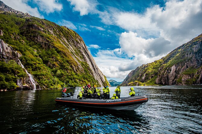 Sea Eagle Safari From Svolvaer to Trollfjorden - Spotting the Majestic Sea Eagle