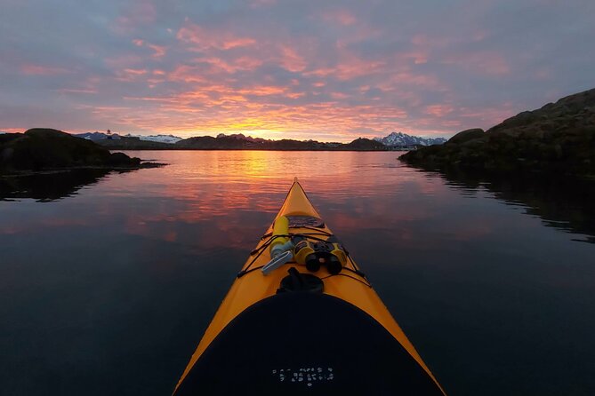 Sea Kayak Guided Tours on Skrova Island - Wildlife Spotting