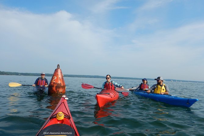 Sea Kayak to an Island Tour in Casco Bay - Reviews and Ratings