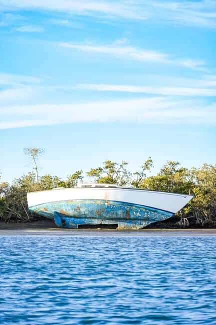 Sea Kayak Tour - Mangrove Safari - Who Should Consider This Tour?