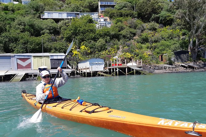 Sea Kayaking Christchurch, Lyttelton Harbour & Quail Island - Kayaking Experience Highlights