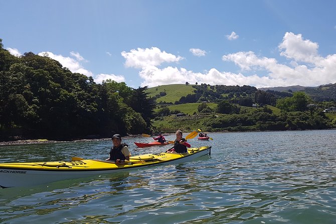 Sea Kayaking Christchurch, Lyttelton Harbour & Quail Island - What to Expect