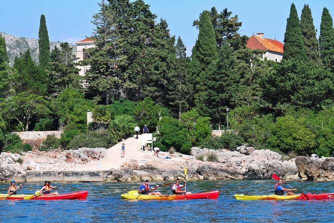 Sea Kayaking & Snorkeling With Fruit Snack & Water - Snorkeling at Betina Cave