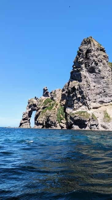 Sea Kayaking Tour - Otaru Coastal Adventure - An In-Depth Look at the Otaru Coastal Kayaking Tour