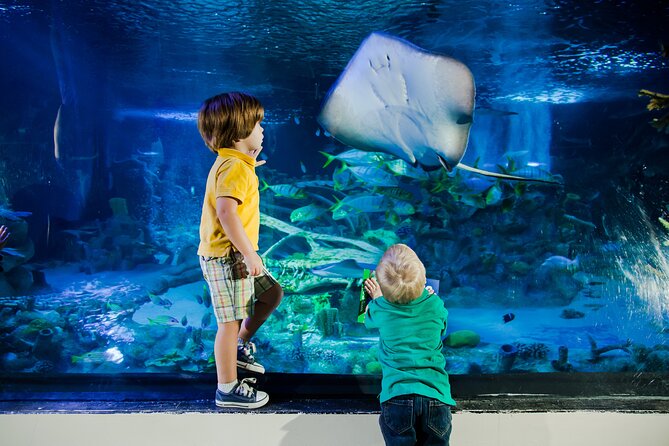 SEA LIFE Aquarium Arizona Admission Ticket - Educational Talks and Presentations