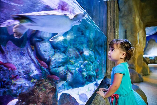 SEA LIFE Aquarium Grapevine Admission Ticket - Key Points