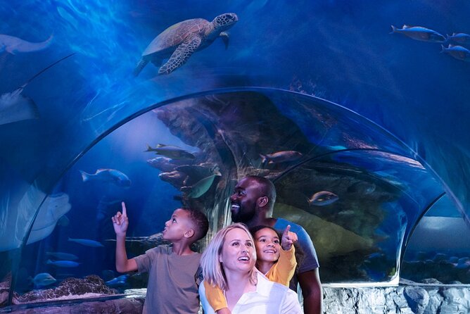 SEA LIFE Aquarium Grapevine Admission Ticket - Remarkable Sea Creatures on Display