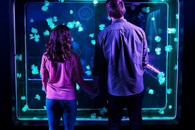 SEA LIFE Aquarium Grapevine Admission Ticket - Daily Talks and Feedings