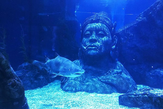 Sea Life Bangkok Ocean World Tickets - Featured Exhibits and Themes