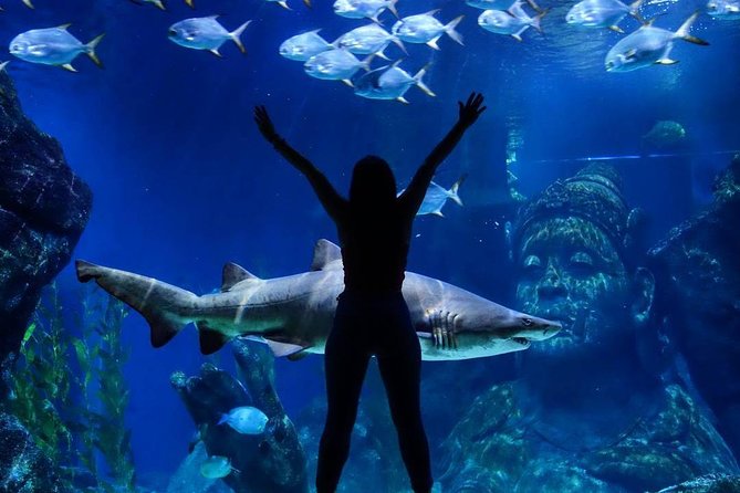 Sea Life Bangkok Ocean World Tickets - Visitor Experience and Accessibility