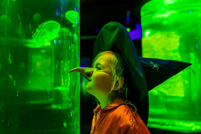 SEA LIFE Berlin Admission Ticket - Exhibits and Attractions