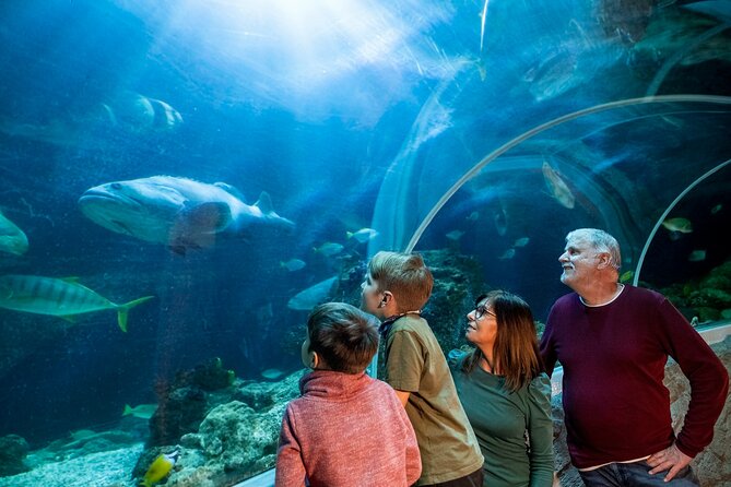SEA LIFE Berlin Admission Ticket - Accessibility and Safety