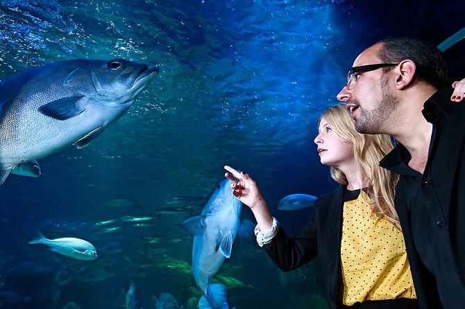 SEA LIFE Berlin Admission Ticket - Visitor Reviews and Feedback