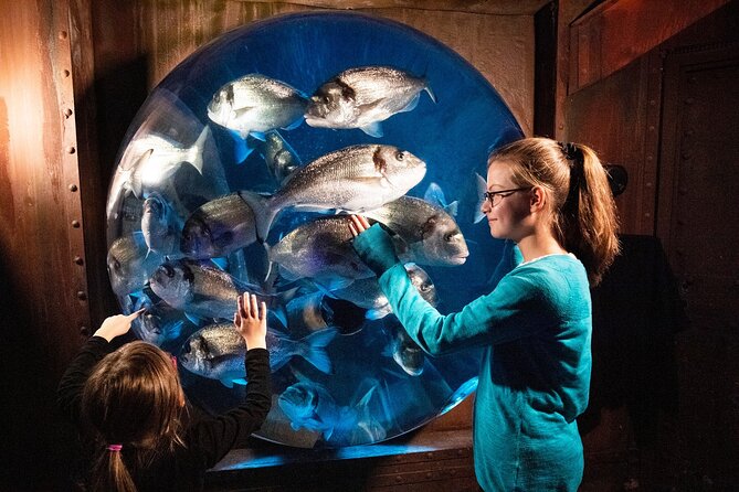 SEA LIFE Berlin Admission Ticket - Booking and Cancellation Policy