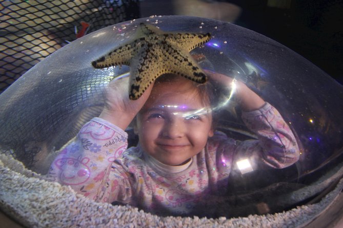 SEA LIFE Blackpool Admission Ticket - Intimate Experience Without Getting Wet