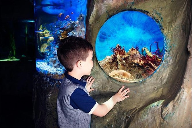SEA LIFE Blackpool Admission Ticket - Souvenir Photos Available for Purchase