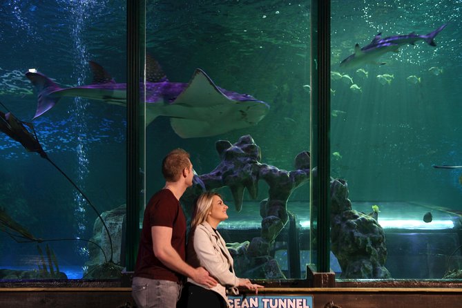 SEA LIFE Blackpool Admission Ticket - Traveler Group Size and Fitness Level