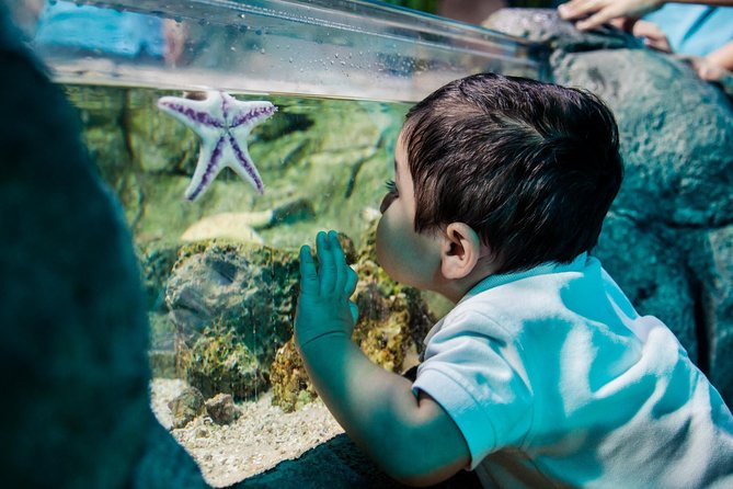 Sea Life Charlotte Concord Aquarium Admission Ticket - Location and Directions
