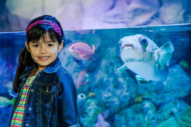 Sea Life Charlotte Concord Aquarium Admission Ticket - Getting to the Aquarium