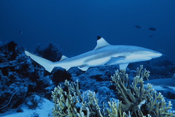 SEA LIFE Great Yarmouth General Admission - Location and Accessibility