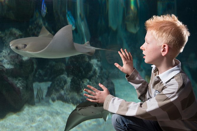 SEA LIFE Hannover Ticket - Visitor Reviews