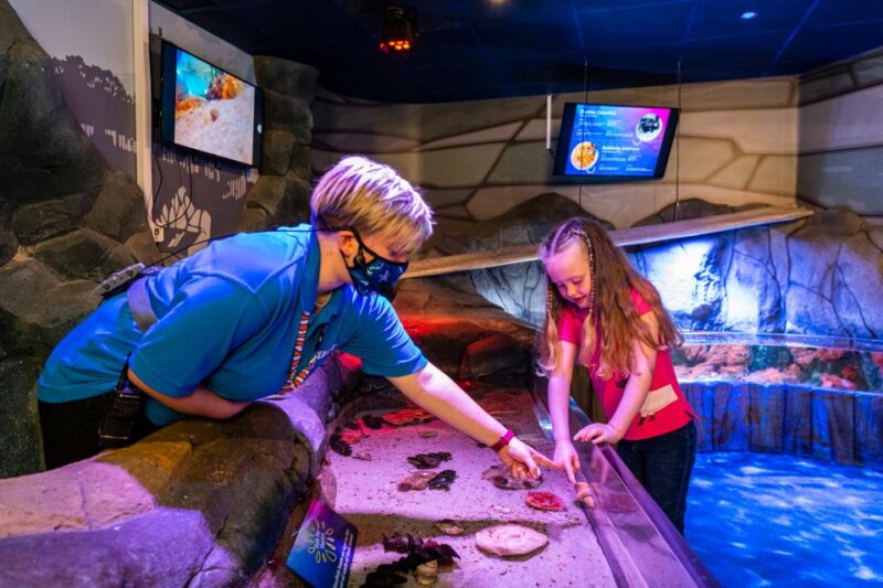 Sea Life Hunstanton - About the Attraction