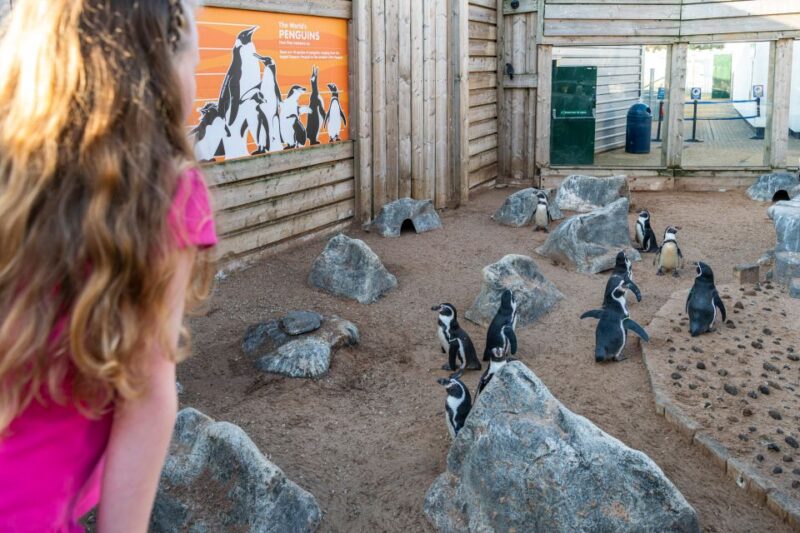 Sea Life Hunstanton - Key Features