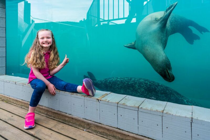 Sea Life Hunstanton - Visitor Information