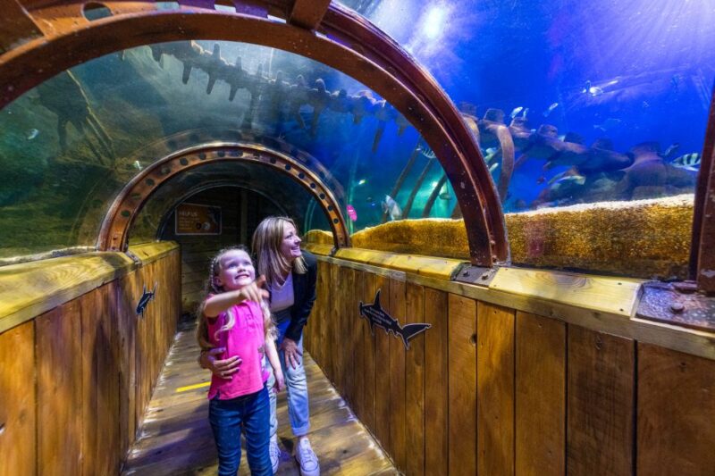 Sea Life Hunstanton - Policies and Accessibility