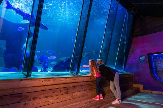 Sea Life Hunstanton - Nearby Attractions