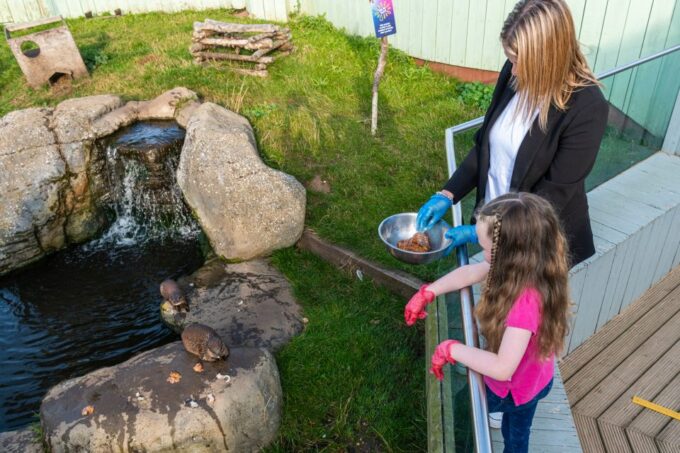 Sea Life Hunstanton - Opening Hours and Admission