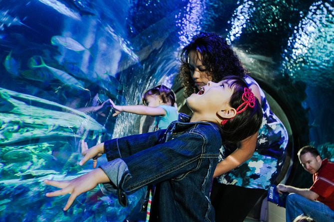 SEA LIFE Kansas City Aquarium Admission Ticket - Diverse Marine Creatures