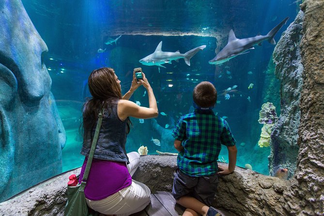 SEA LIFE Kansas City Aquarium Admission Ticket - Educational Talks and Feedings