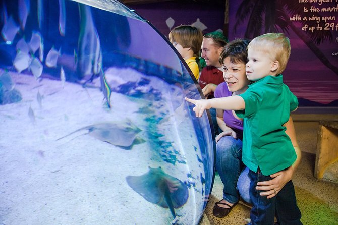 SEA LIFE Kansas City Aquarium Admission Ticket - Admission Ticket Inclusions